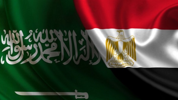 مساعد وزير الخارجية الأسبق: لا توجد أزمة بين مصر والسعودية 
