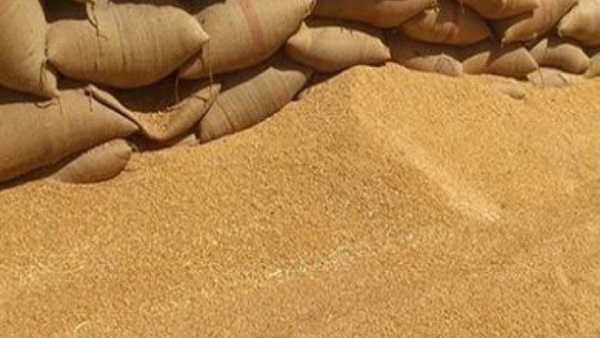 ‏‫ضبط 16.2 طن أقماح غير صالحة للاستخدام الآدمي بالإسكندرية