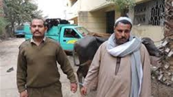 ضبط مسجل بتهمة سرقة «الماشية» بسوهاج 