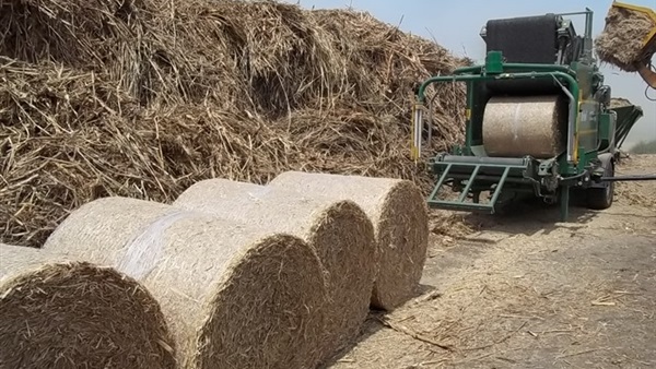 مستشار وزير الزراعة: الغربية أولى المحافظات في تجميع قش الأرز 
