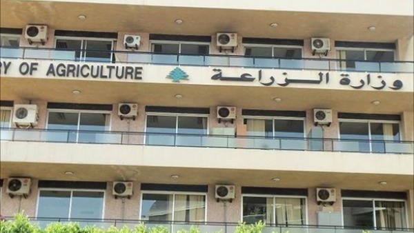 الزراعة تضخ 350 طن بوتاسيوم الأسابيع المقبلة