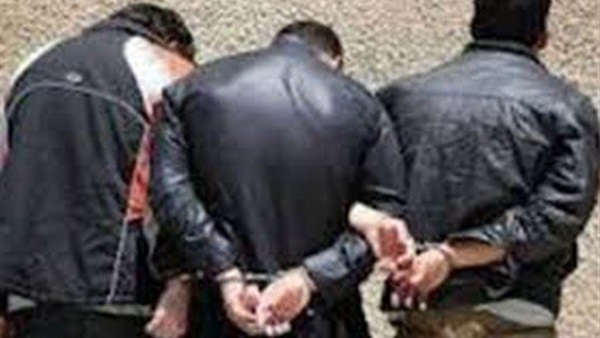 ضبط تشكيل عصابي تخصص في سرقة الطيور من المنازل ببني سويف