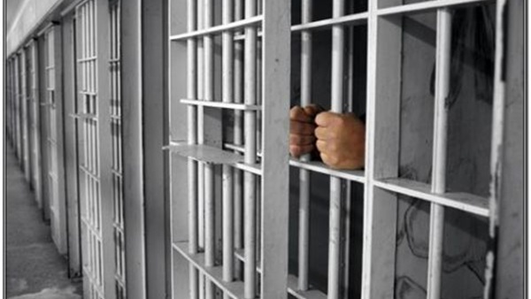 القبض على أب ونجله وبحوزتهما كمية كبيرة من البانجو في الدقهلية