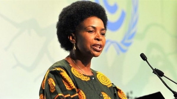 جنوب إفريقيا: ننتظر زيارة بوتين في 2016