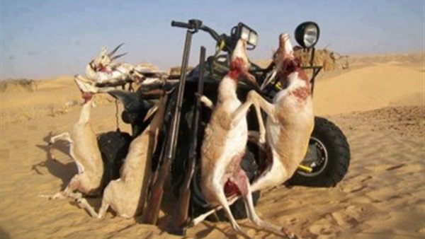 علماء: المئات من الثديات البرية مهددة بالانقراض لاستهلاكها كلحوم ومنتجات دوائية