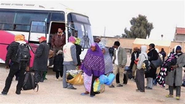 ترحيل أكثر من 270 نيجريا من الجزائر