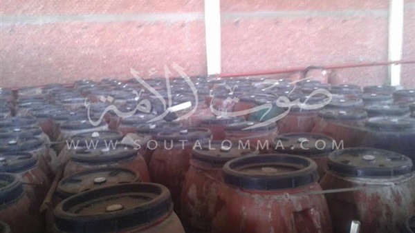 صور.. ضبط 68 طن مواد غذائية بها حشرات في بني سويف