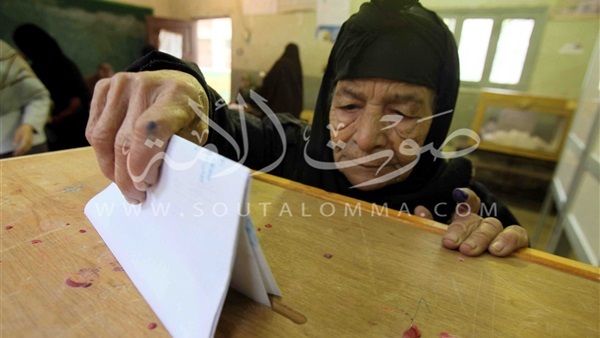 26 نوفمبر النطق بالحكم في طعون الانتخابات بقنا