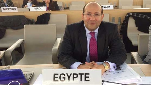 مساعد وزير الخارجية: مواقفنا في مجلس الأمن تمثل مصالحنا 