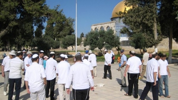 الأوقاف الإسلامية بالقدس: 346 مستوطنا اقتحموا المسجد الأقصى