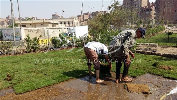 صور.. تشجير وتجميل الطريق الدائري بمدينة «الخصوص»