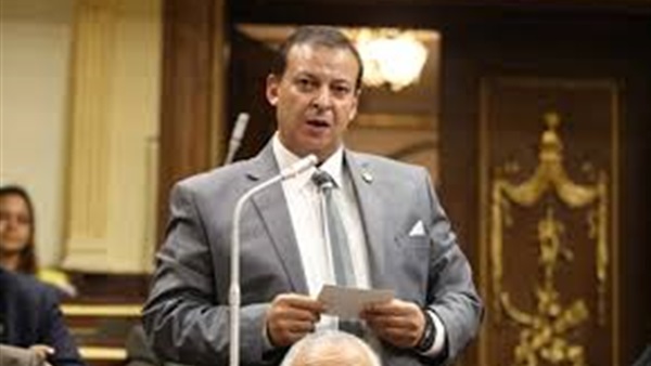 برلماني يشيد بتعاون «التعليم» و«اليونيسيف» في مصر