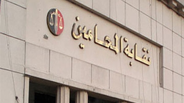 مؤسس «فين ميزانية المحامين» يقدم شكوى لرئيس الجمهورية
