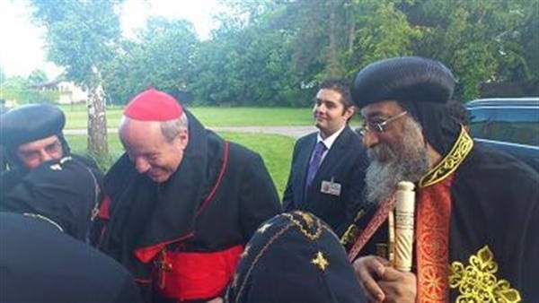 كاردينال النمسا يغادر مصر الأربعاء 