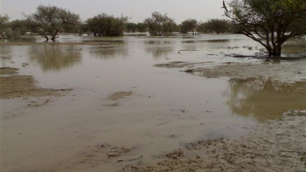 رفع درجة الاستعداد القصوى بأسيوط تحسبا لـ «السيول» 