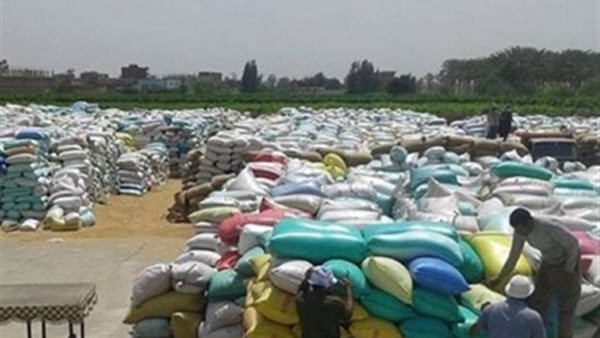 وصول 248 طن أرز مستورد لمضرب السلام في كفر الشيخ 