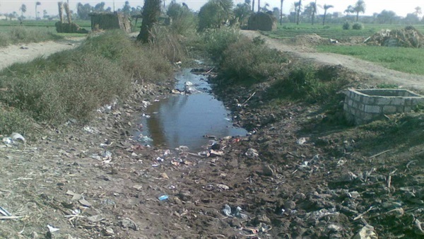 نقيب بني سويف: أزمة نقص مياه الري تهدد 20 ألف فدان