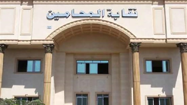 «محامين المنوفية» تنظم دورة تدريبية عن «قانون التحكيم الدولي» 