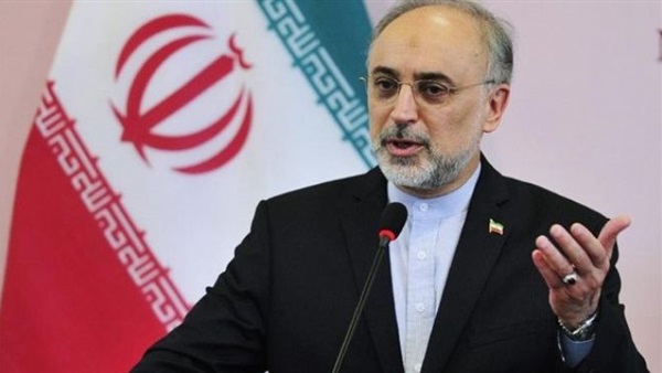 وكالة: إيران تحاول منع تسلل الإرهابيين إلى سوريا