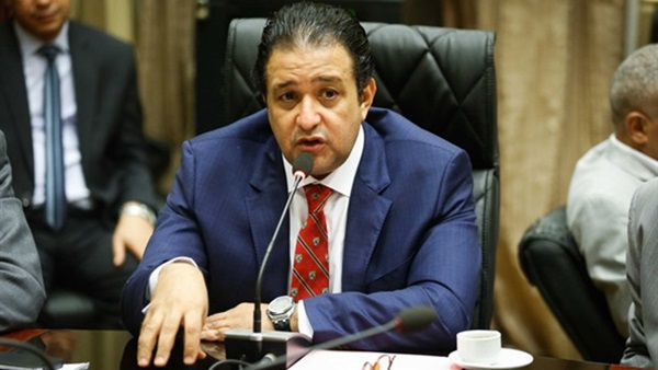رئيس «حقوق الإنسان» بالبرلمان: جميعنا نعمل على قلب رجل واحد
