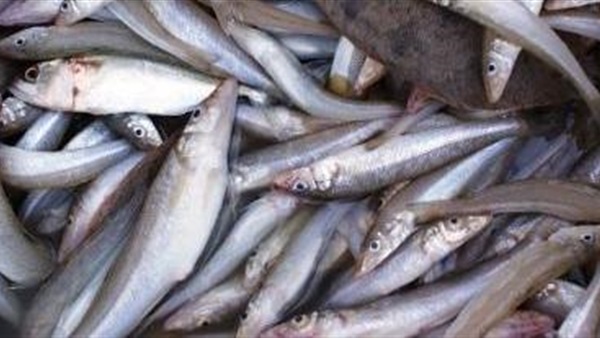 أحداث باريس "الدامية" في صور