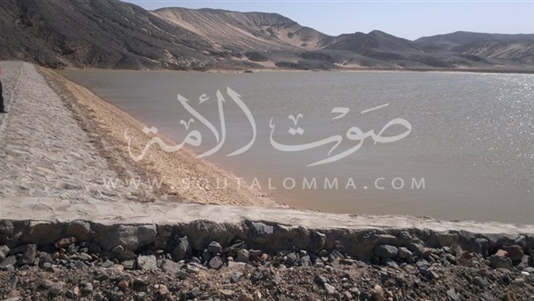 صور.. «المياه الجوفية»: انخفاض منسوب مياه السيول بسدود سفاجا