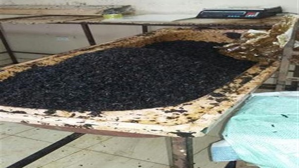 ضبط 781 كيلو «معسل» مغشوش داخل مصنع بالجيزة