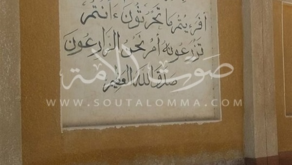 صور.. فلاحو سوهاج يتهمون «بحوث الدقي» بإهدار 5 مليون جنيه 
