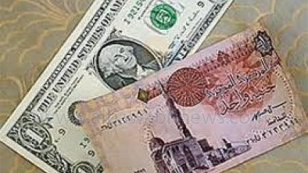 «الشريف»: الدولة استخدمت تحرير سعر الصرف لصالح المواطن البسيط