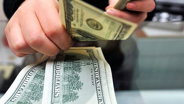 خبيرة مصرفية: تحرير سعر الصرف قرار تاريخي تأخر صدوره عدة سنوات