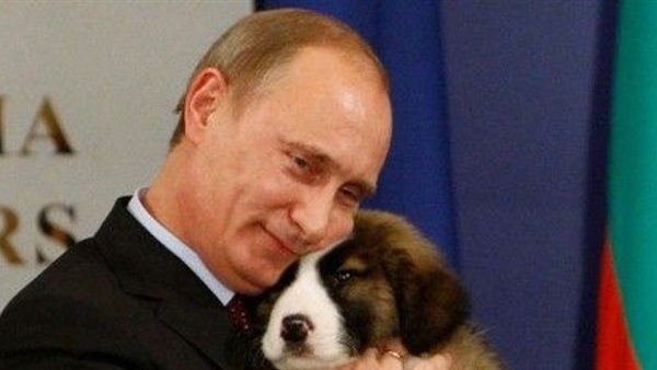 روسيا تعتزم تشديد العقوبة على معذبي الحيوانات