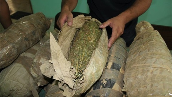 ضبط 3 كيلو بانجو بحوزة عاطل في بني سويف