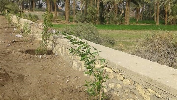حملة مكبرة لإزالة التعديات ورفع الإشغالات في الفيوم 