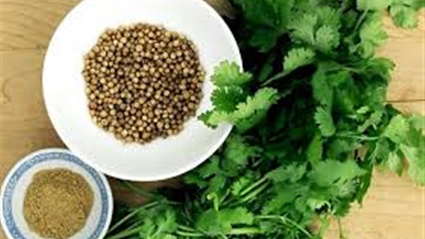 تعرف على الفوائد الصحية لتناول الكزبرة