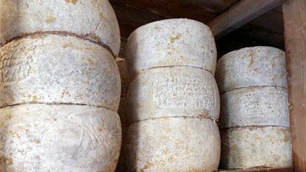 ضبط مصنع جبن يستخدم ملح مجهول المصدر بالبحيرة