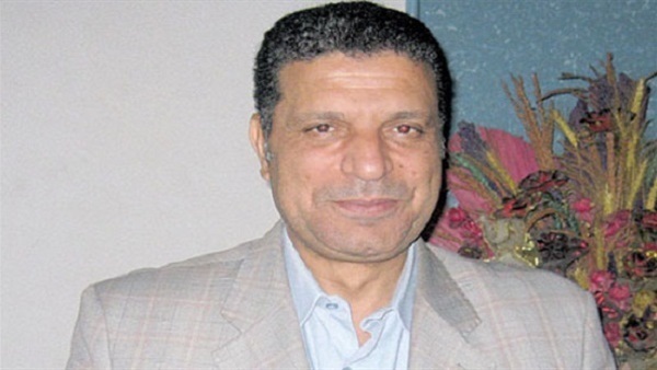 فيديو.. «غباشي»: زيارة وزير الكهرباء العراقي لمصر نقطة فارقة
