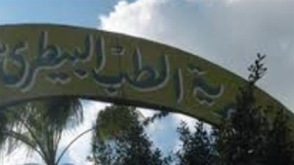 غداً.. بدء قوافل علاج بيطرية في البحيرة