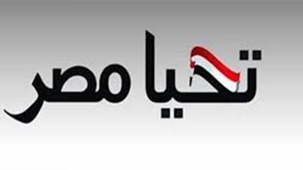 «دعم صندوق تحيا مصر»: «أردوغان» وصل مرحلة الجنون 