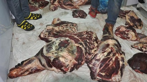 ضبط 600 كيلو لحوم فاسدة في المنوفية