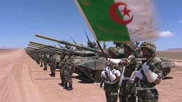 القبض على جزائري بتهمة «دعم الجماعات الإرهابية» 