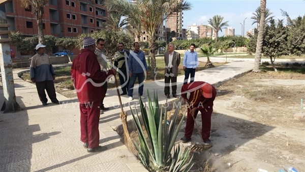 حملات نظافة مكبرة بشوارع مدينة دسوق (صور)‎ 