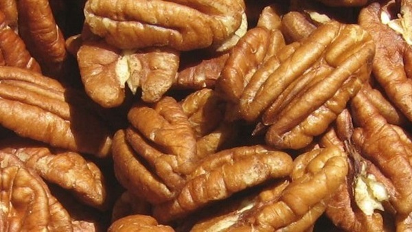 بالفيديو.. «ماجد المصري» للممثلات المحجبات: إحترمي هذه الخطوة