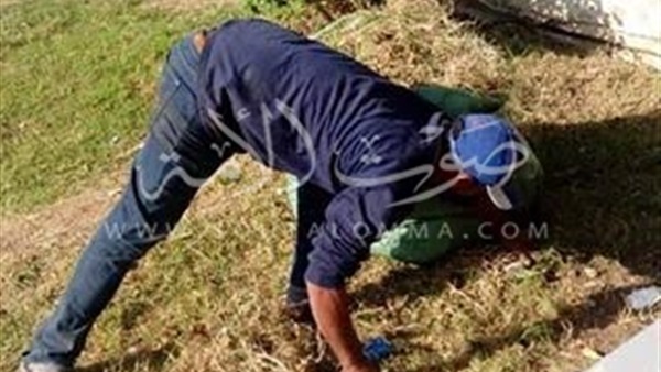 «إشغالات بورسعيد» تلزم أصحاب الكرفانات بالمساحة المخصصة(صور)