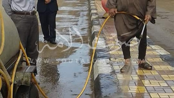 حملة نظافة وتجميل في شوارع منوف (صور)