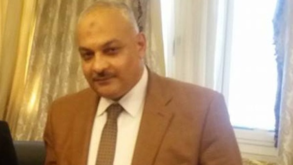 نائب أسوان: لدينا مطلب واحد نعرضه على «الوزراء»