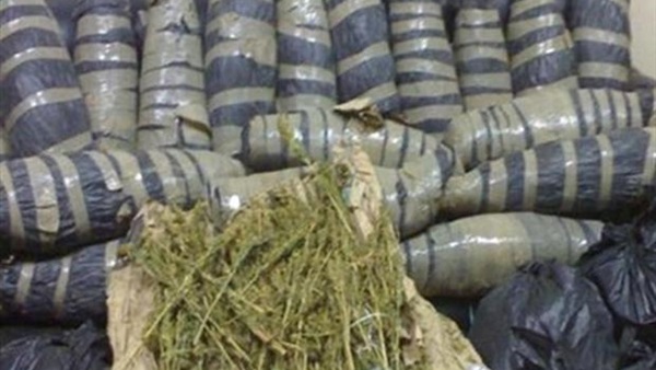 سقوط تاجري مخدرات وبحوزتهما 6 آلاف كيلو بانجو في حلوان 