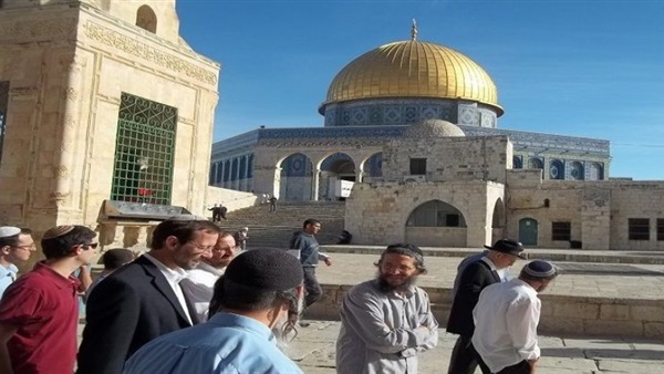 مستوطنون يهود يدنسون «الأقصى».. واعتقال 9 فلسطينيين من الضفة