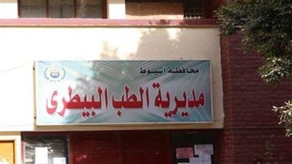 «بيطري أسيوط» يحصن الثروة الحيوانية من أمراض الشتاء