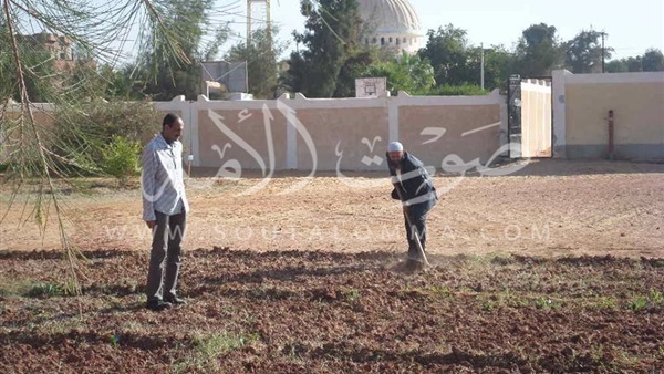 مدرسة في الوادى الجديد تطلق حملة تطوعية لـ«تنجيل ملعب»