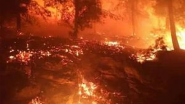 أمير طعيمة عن حريق إسرائيل: «بالتوفيق للنار»